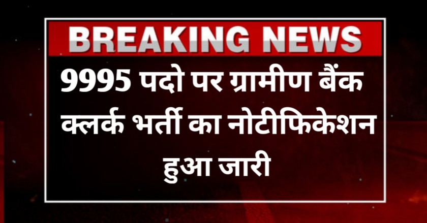 Gramin Bank Clerk Vacancy 2024